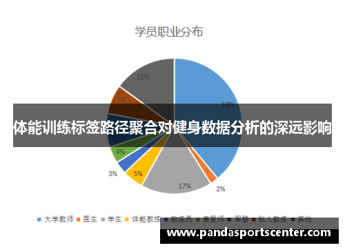 体能训练标签路径聚合对健身数据分析的深远影响